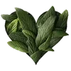 💚