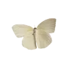 🦋