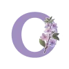 🌸