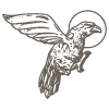 🪽