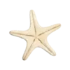 ⭐️