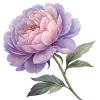 🌸