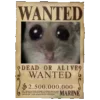 🔎