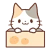 🍊
