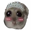 👸