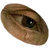 👁