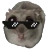 😎
