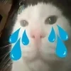 😭