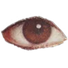 👁