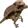 🦎