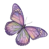 🦋