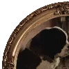 🖼️
