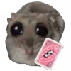 🃏