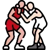 🤼