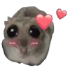💕