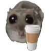 ☕️