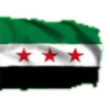 🇸🇾