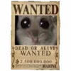 🔎