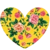💛