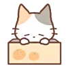 🍊