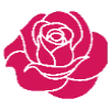 🌹