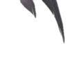 🖤