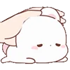🐰