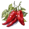 🌶