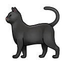 🐈‍⬛
