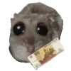 💵