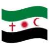 🇸🇾