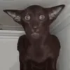 😳
