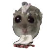 🛼