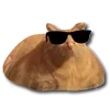 😎