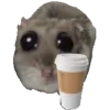 ☕️