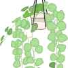 🌱