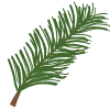 🌲