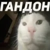 😄