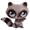 🦝