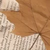 📜