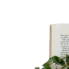 📖