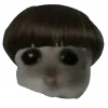 🧑‍🦳