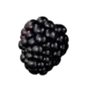 🍇
