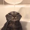 😐