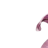 🌺