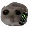 🥫