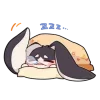 😴