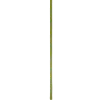 🌱