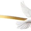 🕊