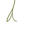 🌱
